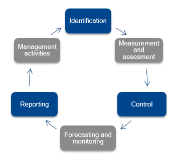 Risk management process